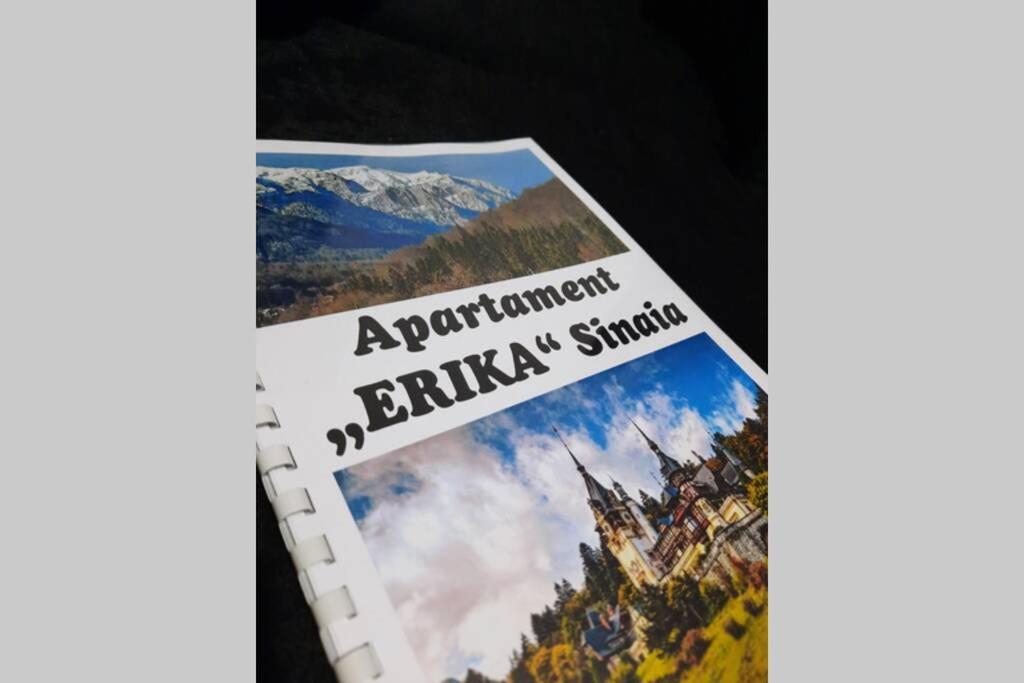 Apartament Erika Синая Екстериор снимка