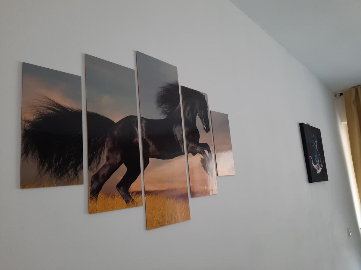 Apartament Erika Синая Екстериор снимка