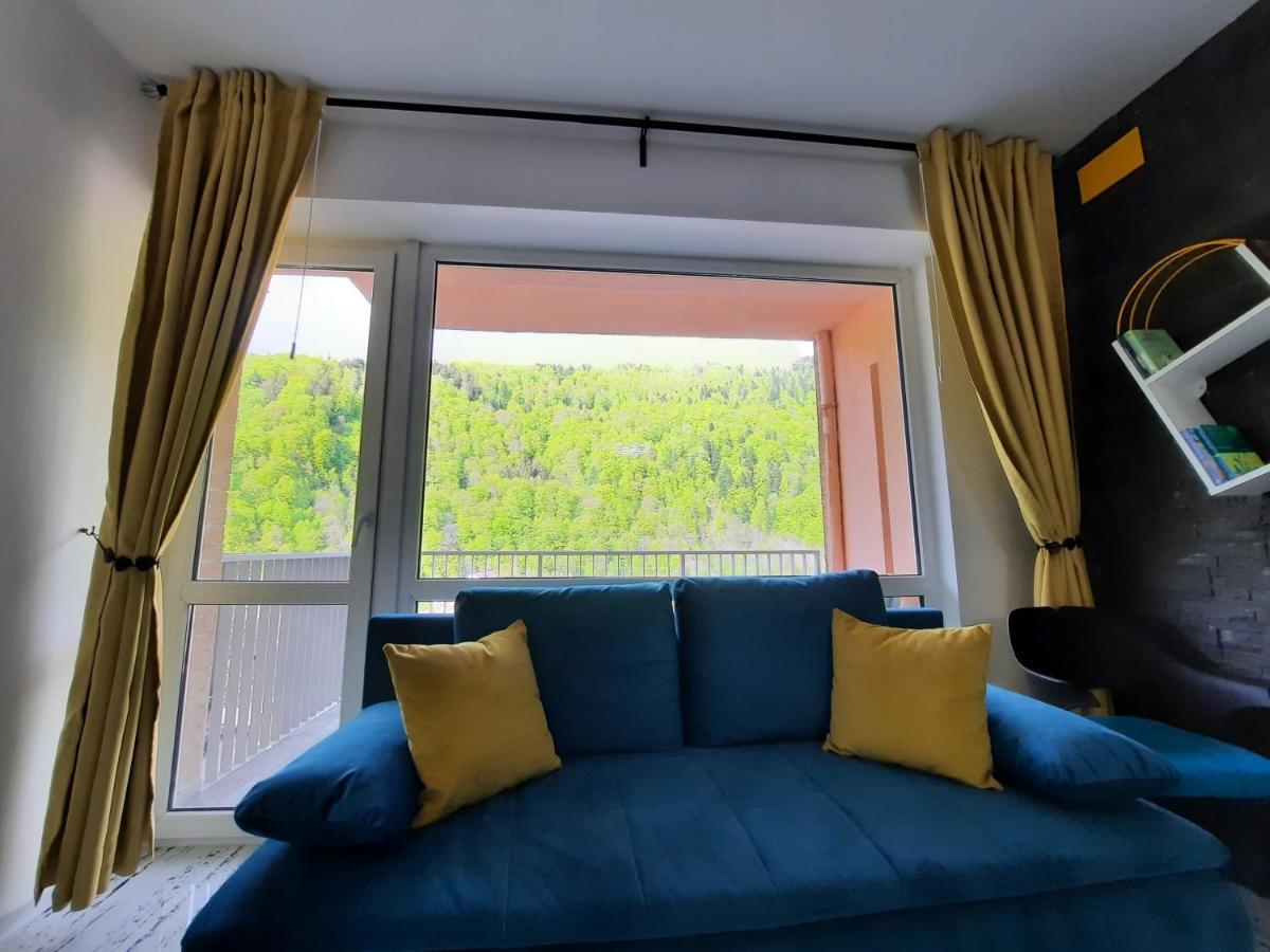 Apartament Erika Синая Екстериор снимка