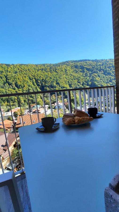Apartament Erika Синая Екстериор снимка