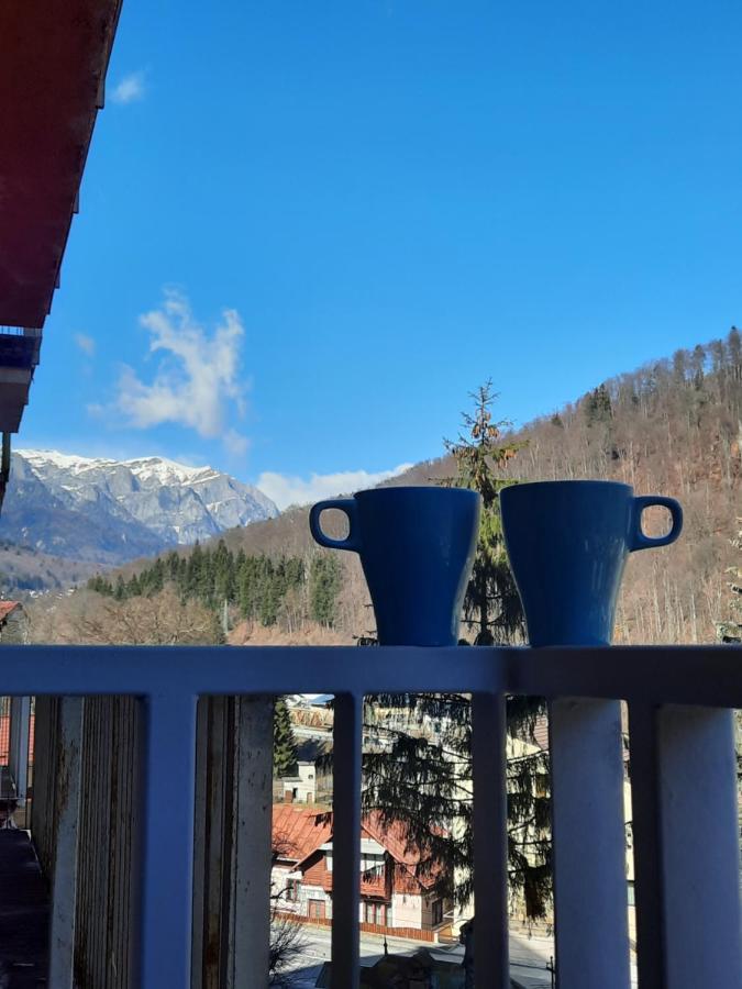 Apartament Erika Синая Екстериор снимка