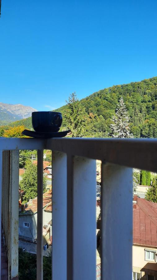 Apartament Erika Синая Екстериор снимка