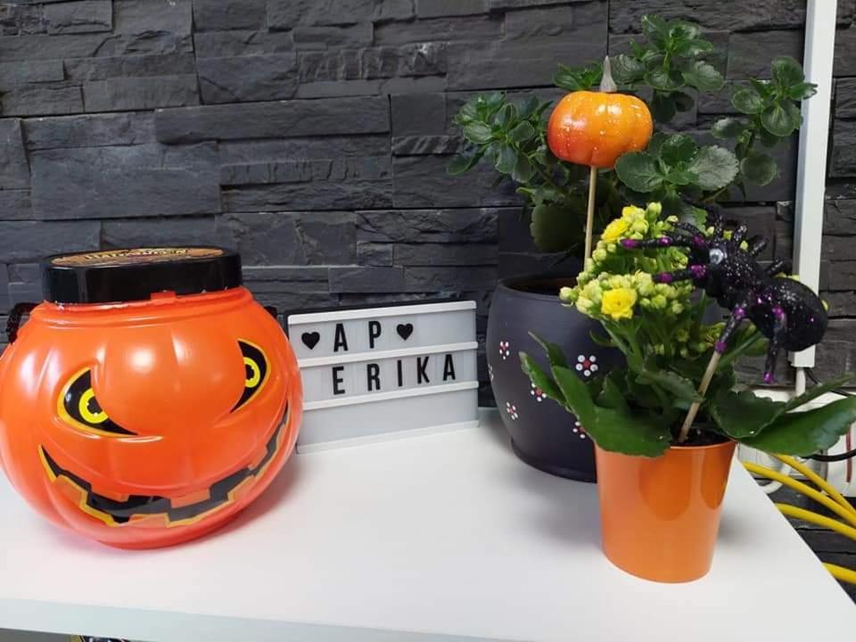 Apartament Erika Синая Екстериор снимка