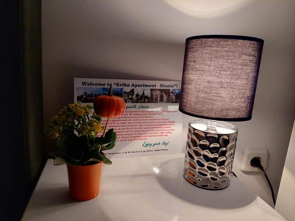 Apartament Erika Синая Екстериор снимка